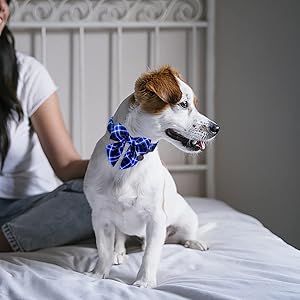 UP URARA PUP Dog Collar with Bow Tie, Cotton Dog Bowtie Collar for Puppy Girl Boy Dogs or Cat, Blue Bowtie Dogs Collars with Durable Metal Buckle, Holiday Plaid Puppy Collars,L