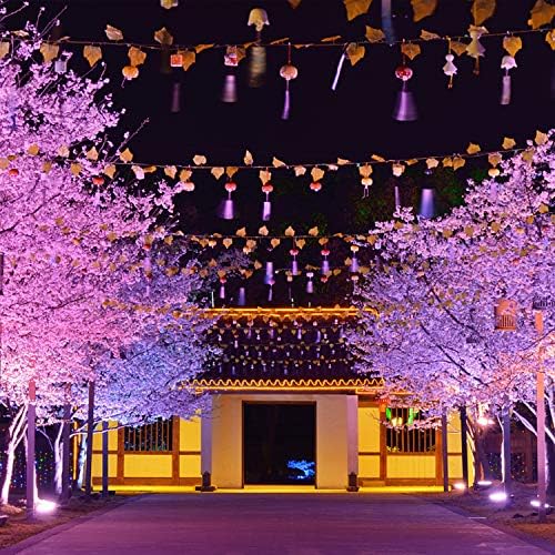 LED Flood Lights Outdoor, 25W RGB Smart WiFi Floodlight APP/Voice Control, Colour Changing RGB 16 Million Colours - Music Sync for Alexa Google Home IP66 UK 3-Plug 2 Pack
