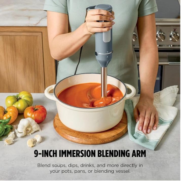 Power Duo Immersion Blender, 650-Watt Motor with 3 Speeds, Handheld Blender and Whisk for Soups, Sauces, and Smoothies