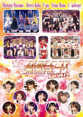 HELLO！PROJECT - 真野恵里菜　DVD  Christmas World HELLO！PROJECT - 真野恵里菜 DVD Christmas World Morning