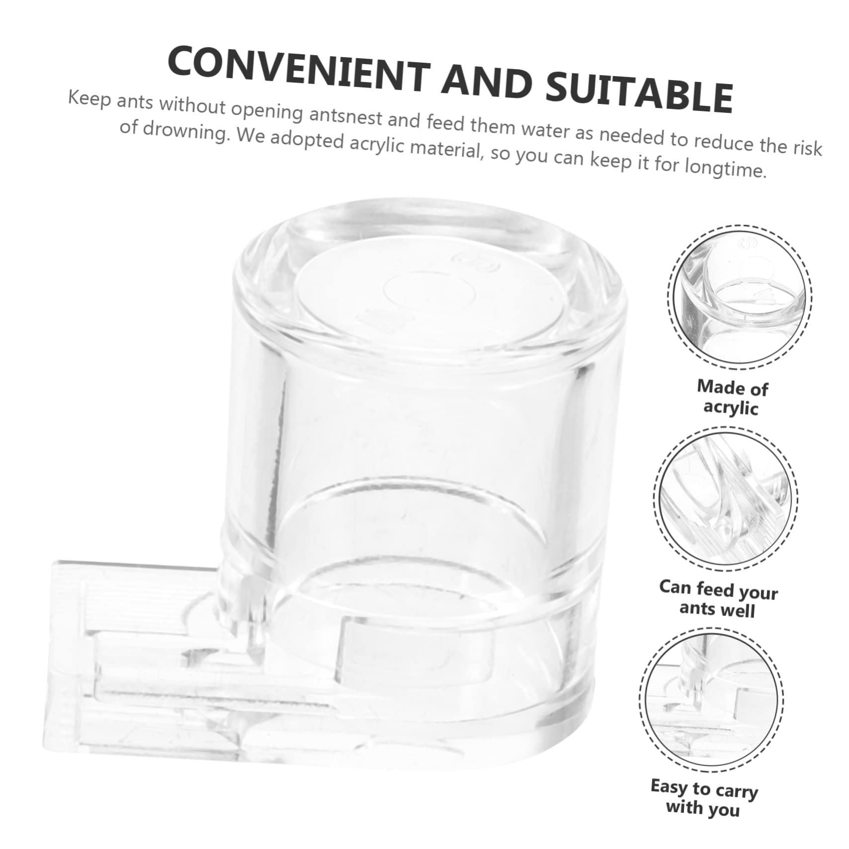 Ameisen-Wasserspender & Futterstation - Rutschfest & Praktisch | Für Ameisenfarmen