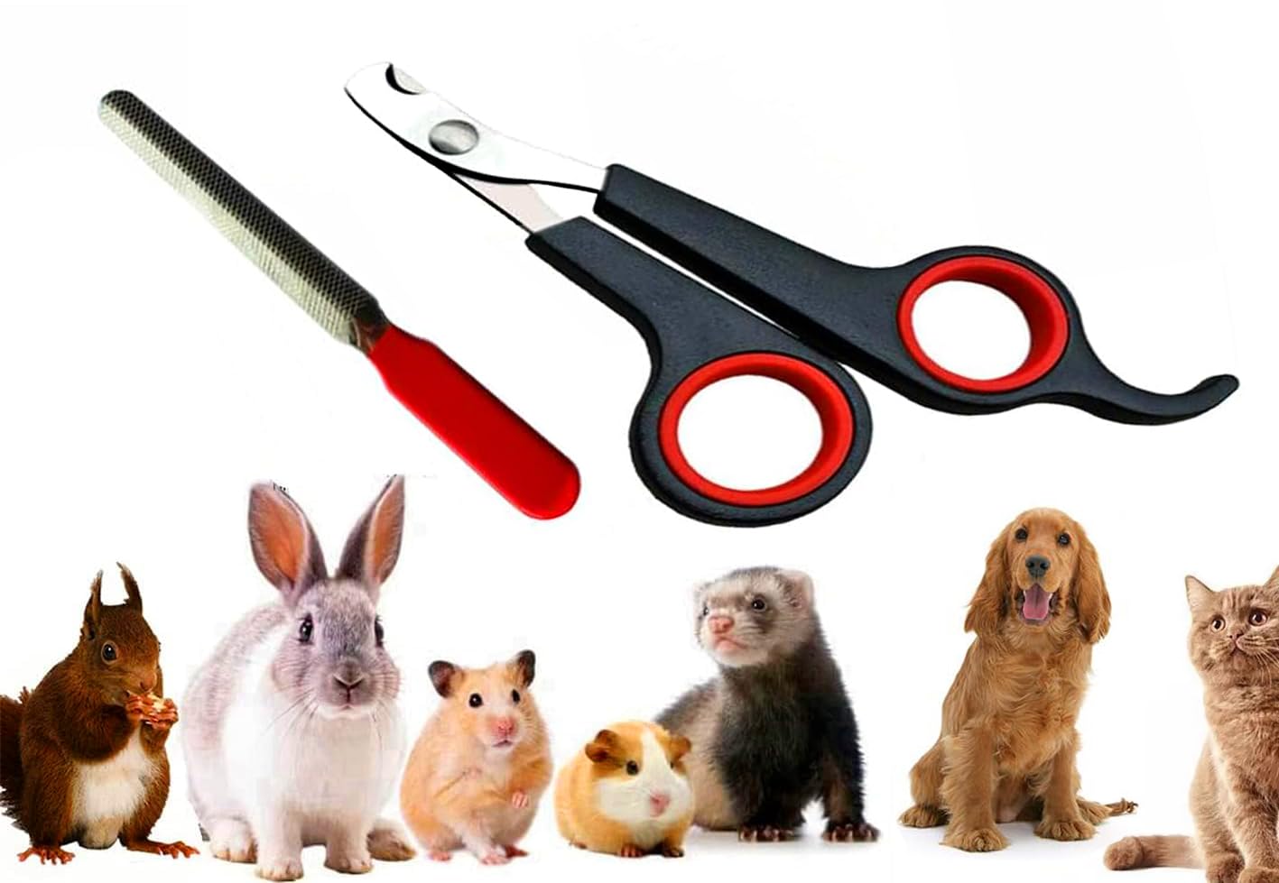 RvPaws Rabbit Nail Clippers and Trimmers Stainless Steel Pet Claw Grinding Scissors for Small Breeds Cats Guinea Pig Puppy Ferret Hamsters Chinchilla Sugar Glider Grooming Tool Set (B0D9HJ9YH6) Amazon Price History, Amazon Price Tracker