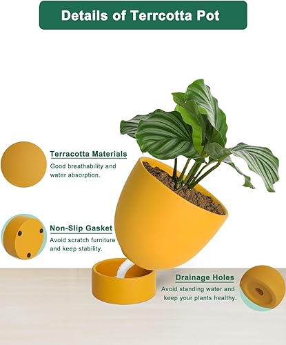 Miniatura 9 de vensovo Maceta de terracota con riego automático, 2 macetas de terracota de 6 y 8 pulgadas con orificio de drenaje y platillo, maceta de arcilla