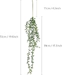 Artificial Hanging Succulent Plants – 2 Pack Faux String of Pearls Plants Unpotted Faux Hanging Plants Décor (Small)