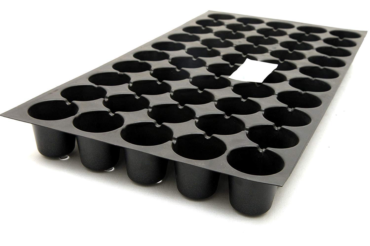 BIO Blooms Agro Seedling Trays for Seed Germination 50 Cavity (4.5cm Holes) Pro Tray 10pcs Black Color 1mm Thichness-image-43