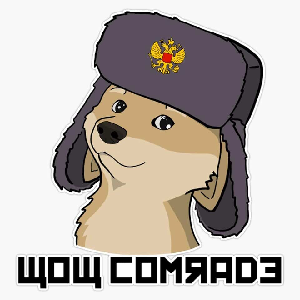 Собака в шапке ушанке мем