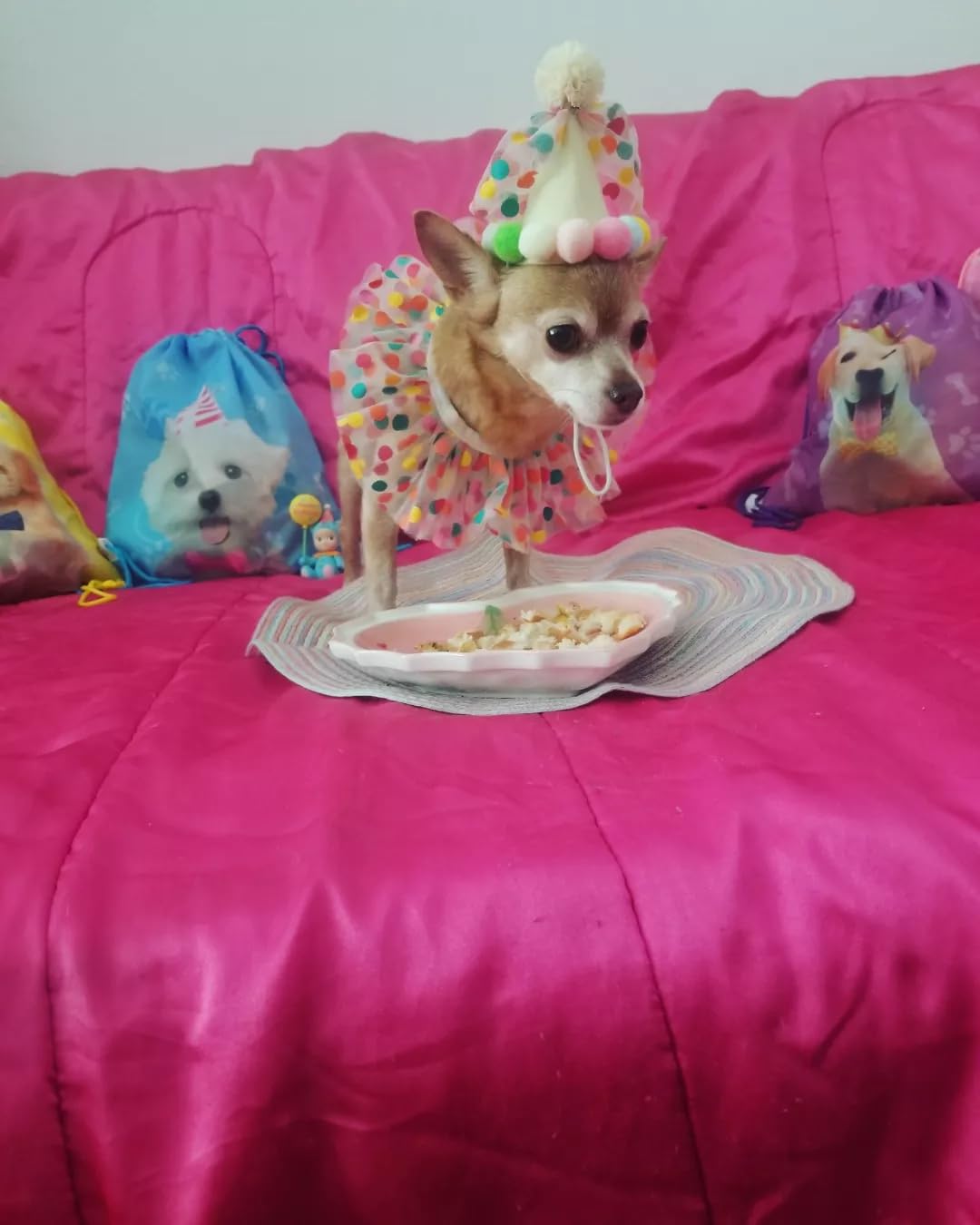 Frienda 24 Pieces Dog Party Favor Drawstring Bags Puppy