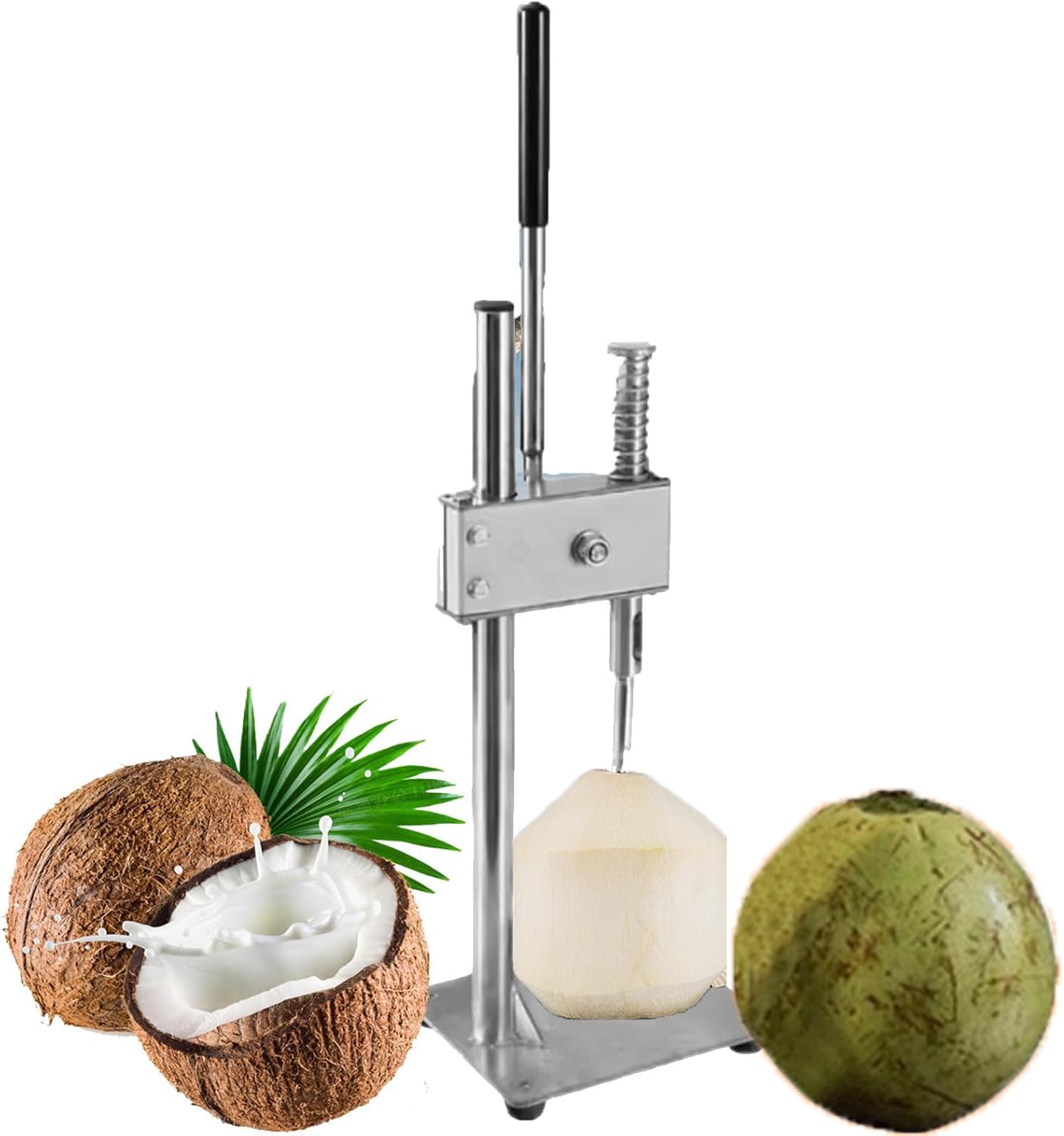 Stainless Steel Oyster & Coconut Clam Opener, Coconut Opener Tool Set, Shucker Shellfish Shell Opener, Clam Opener Machine, Oyster Shell Bottle Opener, Seafood Tools,Opencoconuts-Large