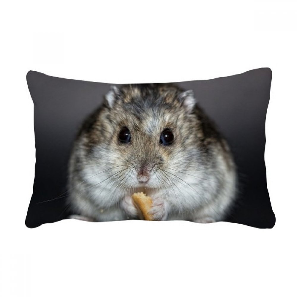 Coussin lombaire hamster mignon pour soulager le dos sur le canape