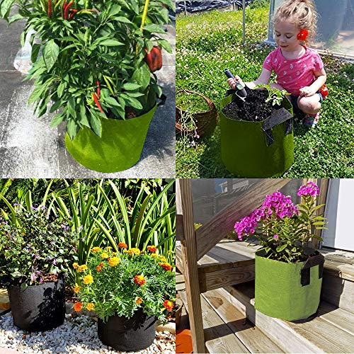 GEMGO 3 Pack Garden Grow Bag, 5 Gallon Aeration Waterproof Fabric Potato Bucket Planter, Vegetable Peanut Planting Bag for Flower Nursery (5 Gallon, Green) - Thumbnail 6