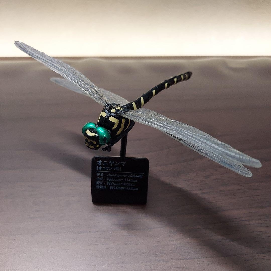 Amazon.co.jp: レア 原色図鑑シリーズ 日本のトンボ オニヤンマ