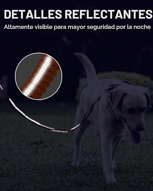Foto 6 de 7 de Joytale Correa Perro Táctica Antitirones, Perros Medianos Grandes, Naranja