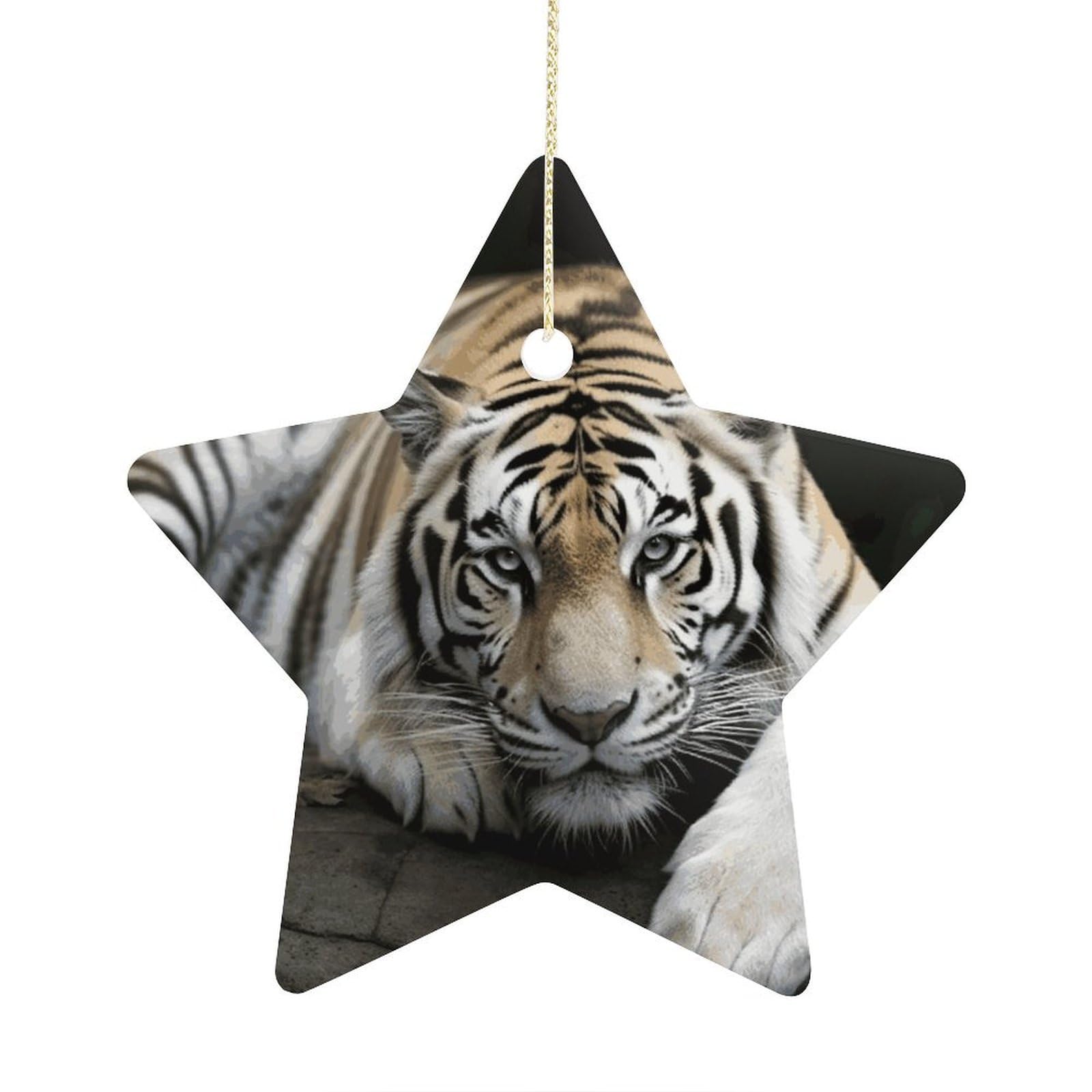 Tiger Lie On Rock Stars Ornaments Ceramic Christmas Tree Hanging Light in Weight Christmas Star Pendants Funny Double-Sided Printed Xmas Ornaments for Gifts