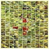 Will To Be Well by Dalhous (2014-07-14)