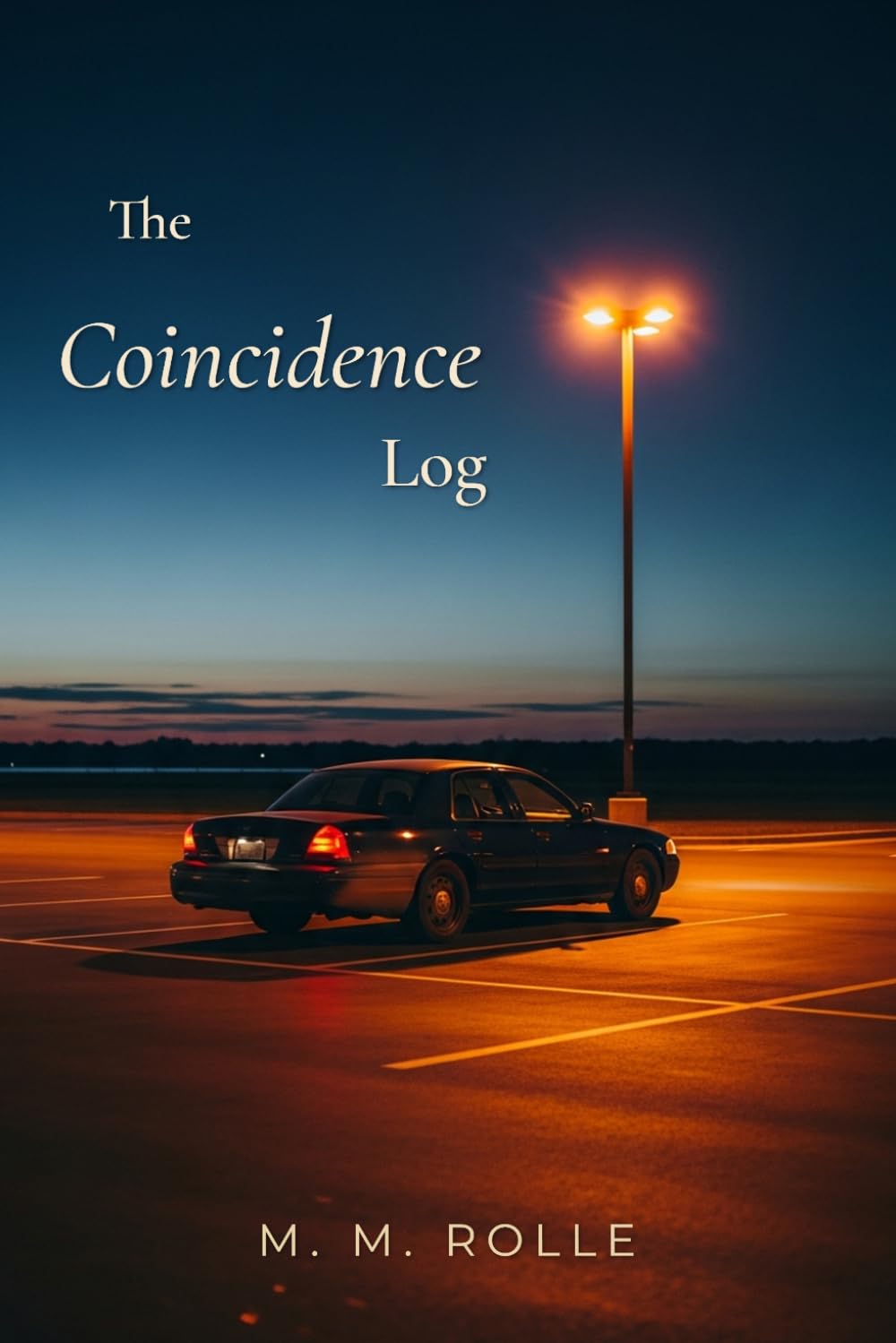 The Coincidence Log: A Literary Novel of Grief, Marriage, and Letting the Dead Go