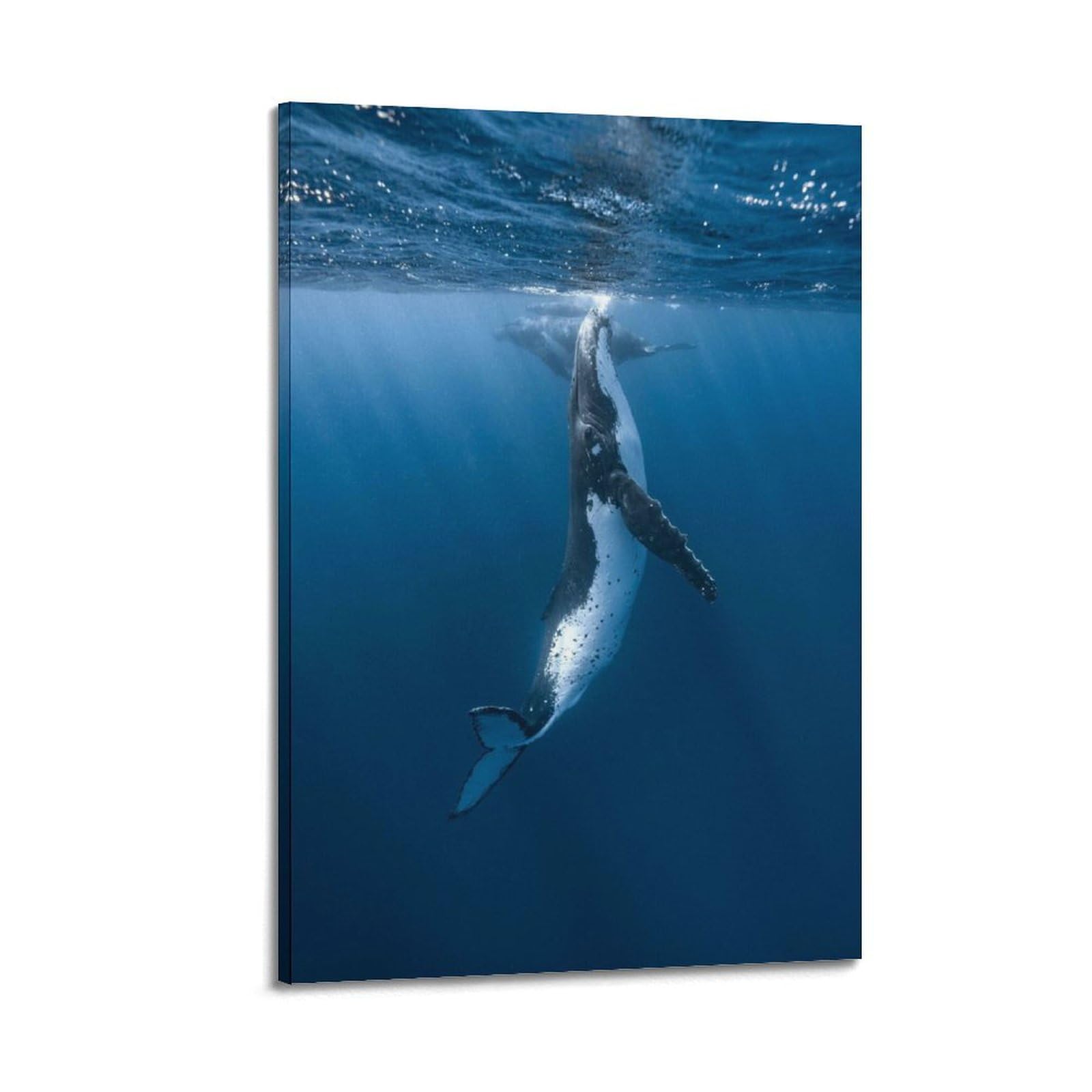 Toile rorqual à nageoire 60x90 cm grand format, impression haute définition