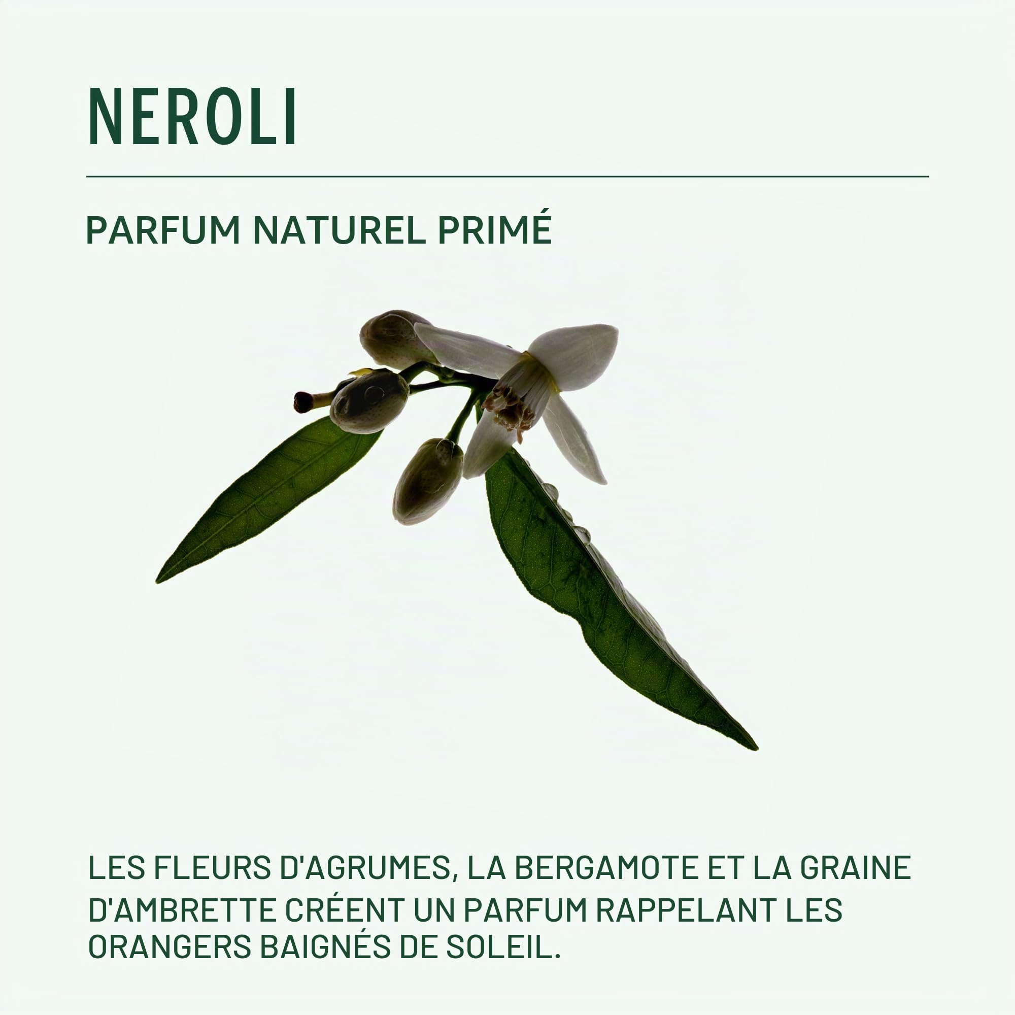 Corpus Déodorant naturel – Neroli – Déodorant à base de plantes de qualité supérieure pour homme et femme – Sans aluminium – Sans cruauté envers les animaux et végétalien – Formule à base de gel
