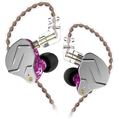 Amazon.com: KZ ZSN Pro 1BA+1DD Hybrid 