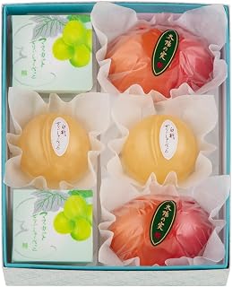 源吉兆庵 和菓子セット 源 吉兆庵の夏菓撰(小)白桃ぜりぃしゃーべっと入