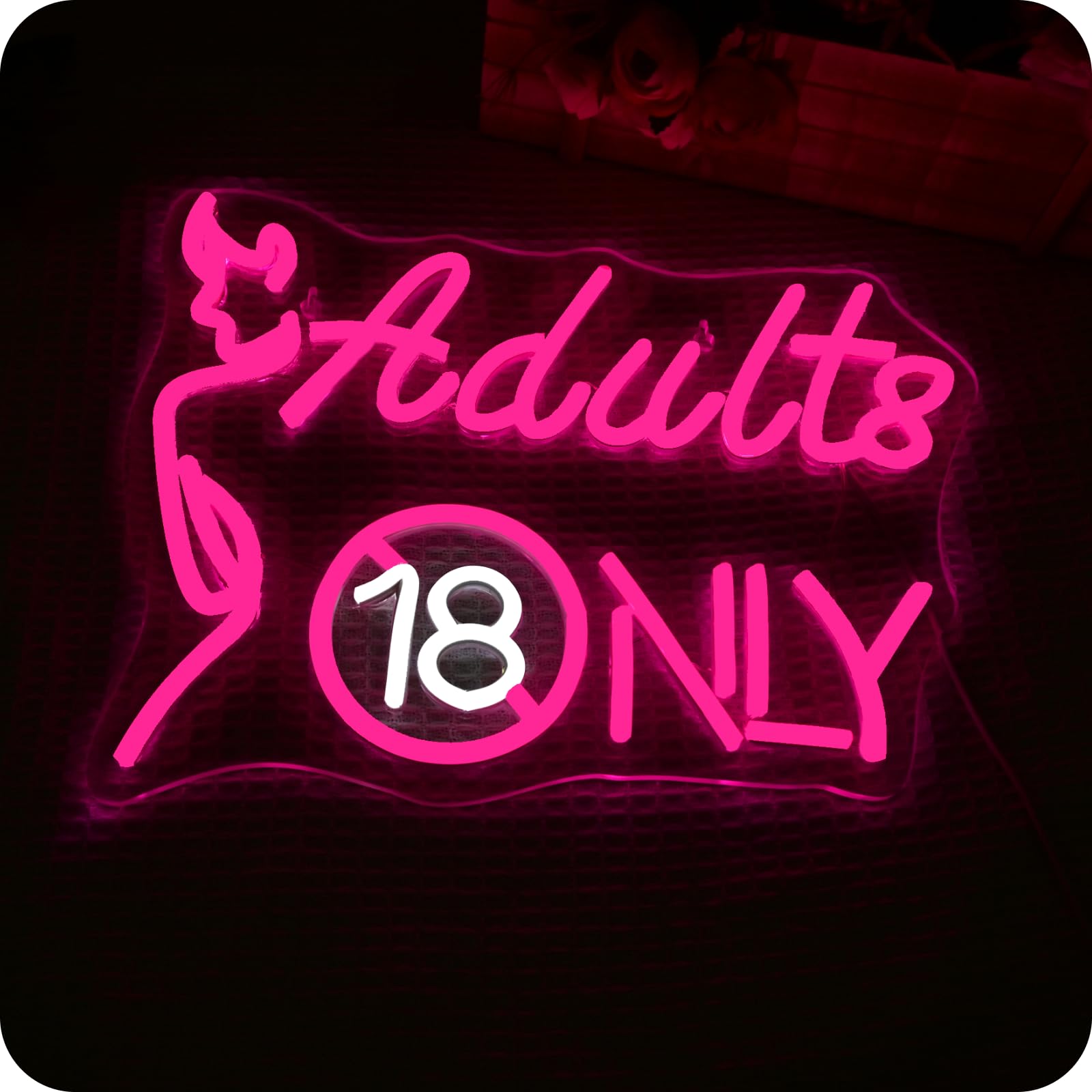 Wanxing Beauty Neon Sign, LED Sign Lettering Sign Dimmable Commercial, Neon Sign USB 5V/2A