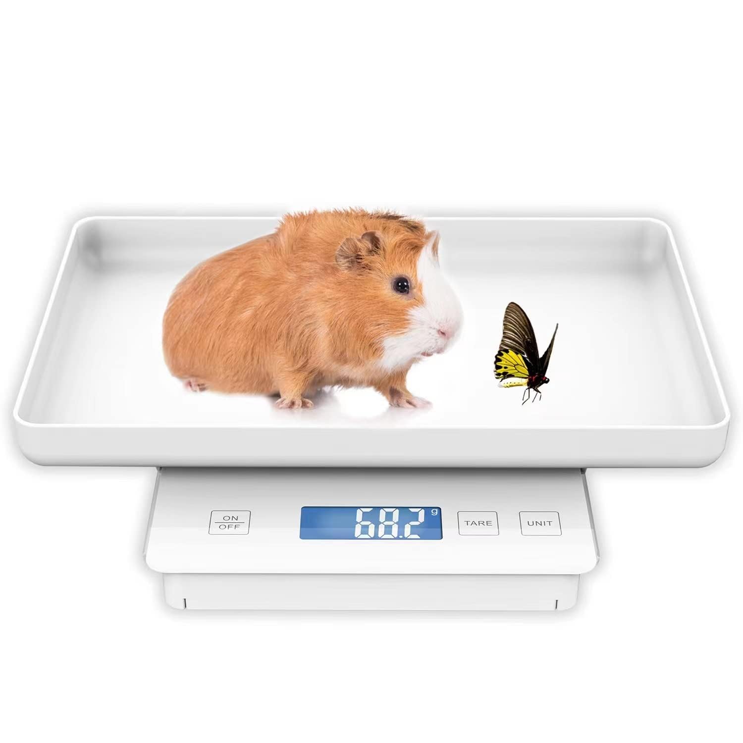 Báscula para mascotas MINDPET-MED de 11 lb/0.1 g para animales pequeños, reptiles, alta precisión (0.1 g), ideal para gatos, tortugas, pollitos, pájaros, monedas, polvo y repostería. Blanca.