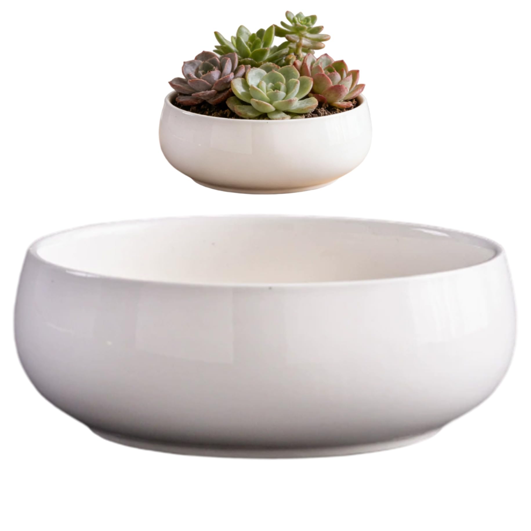 Takingup Lotus Bowl, Ceramic Planter, 6.5 Inch, Shallow Flower Pot, Minimalist, White, for Indoor Outdoor Home Decor
