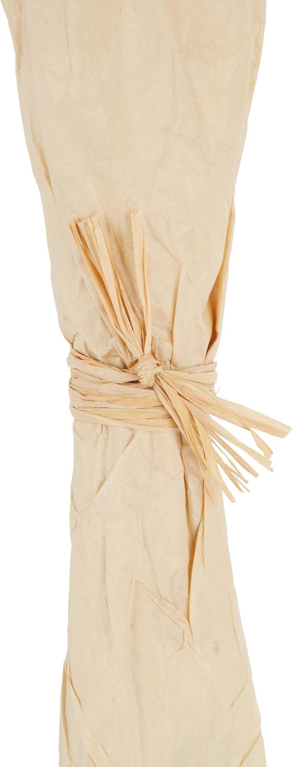 Deco 79 Dried Plant Home Decor Natural Foliage Tall Floral Bouquet Natural Dried Foliage with Brown Stems, Foliage for Decoration 7" x 7" x 41", Cream