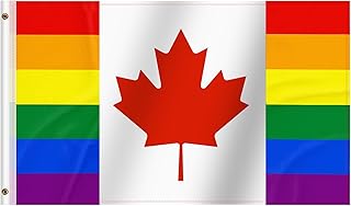 Pride Flag 3x5Ft Lesbian Gay Flag Progress Rainbow Parade Flag Bisexual Trans LGBTQ Gay Pride Banner Outdoor Party Decorations Flag LGBT Festivals