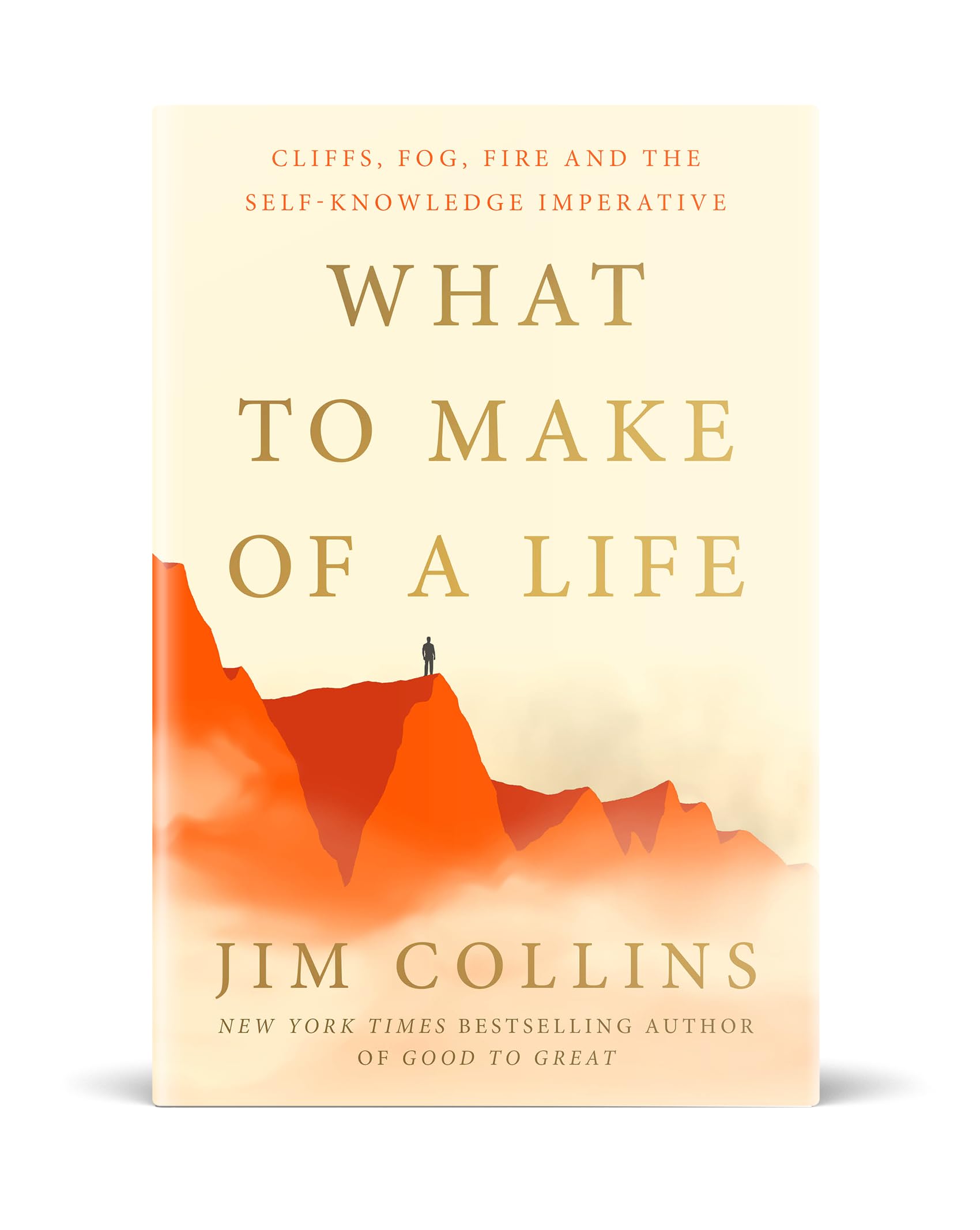 What to Make of a Life: Cliffs, Fog, Fire and the Self-Knowledge Imperative