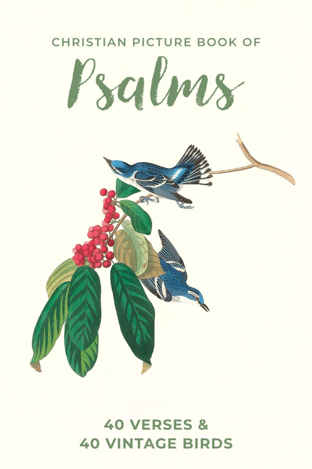 Christian Picture Book of Psalms: For Seniors With Alzheimer’s and Dementia, Large Print, Vintage Bird Edition