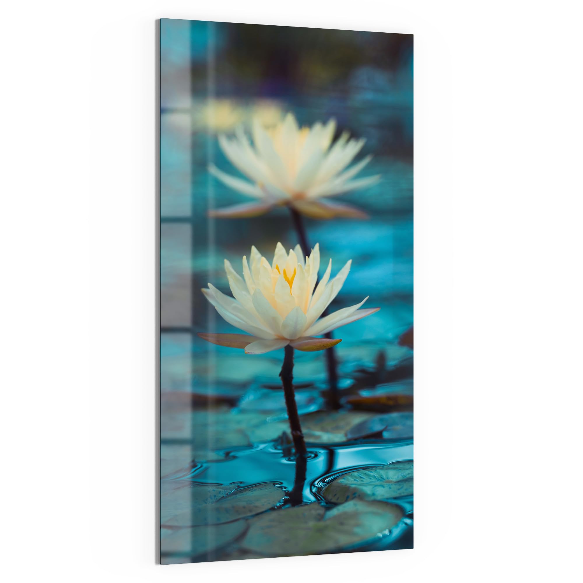 DEQORI Szklana tablica magnetyczna | wymiary 50 x 100 cm | motyw "seria lilii wodnych" | tablica memo ze szkła | tablica magnetyczna z magnesami, długopisem i chusteczką do kuchni i biura | tablica