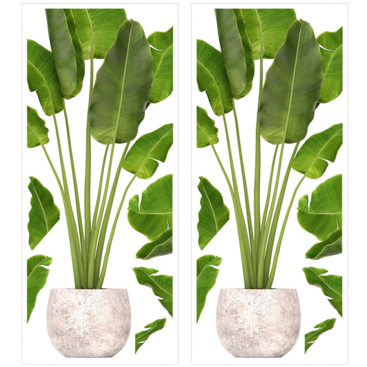 Decoración DIY sin daños: pegatinas de plantas de fácil desmontaje para salón