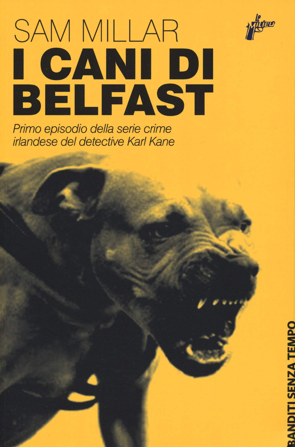 I Cani Di Belfast - 4