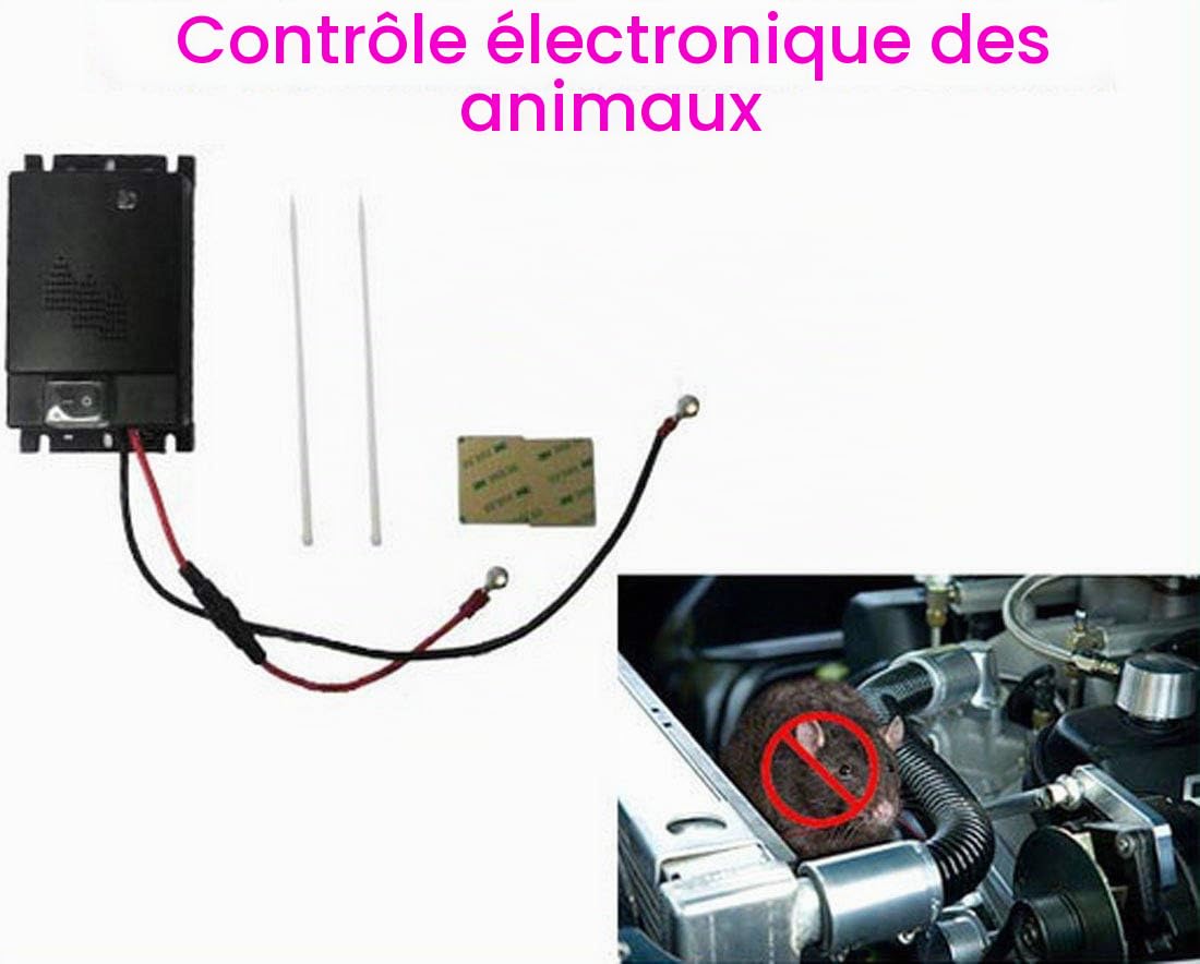 Répulsif à ultrasons pour souris, TOTMOX 12 V pour véhicule de voiture, rat, rongeur, animal, répulsif avec fonction flash LED, repousse en toute sécurité les parasites