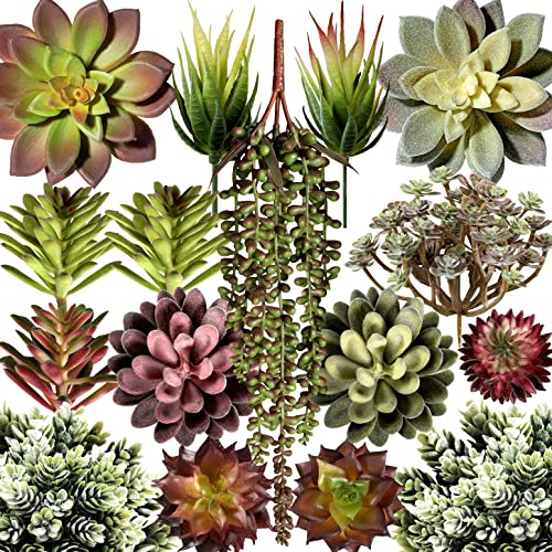 Encuentra la mejor selección de Suculentas precio - solo los mejores. 29 miltonson Plantas suculentas Artificiales Falsas Surtidas, Paquete de 16 Unidades, Plantas suculentas sin Maceta, púas de suculentas con Textura Realista, Plantas Falsas para...