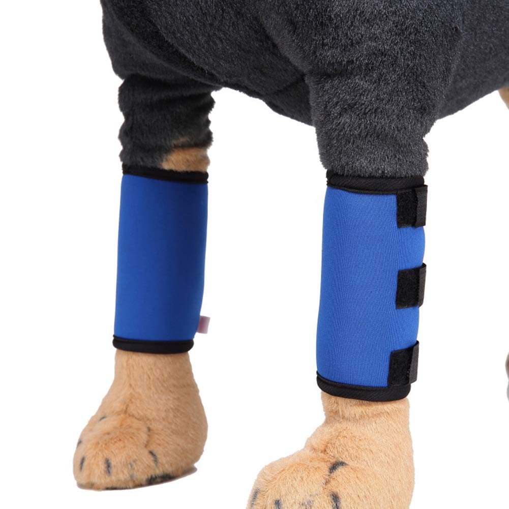 Buy Newest trent Dog Leg Support Brace Wrap Canine Rear Hock Sleeves