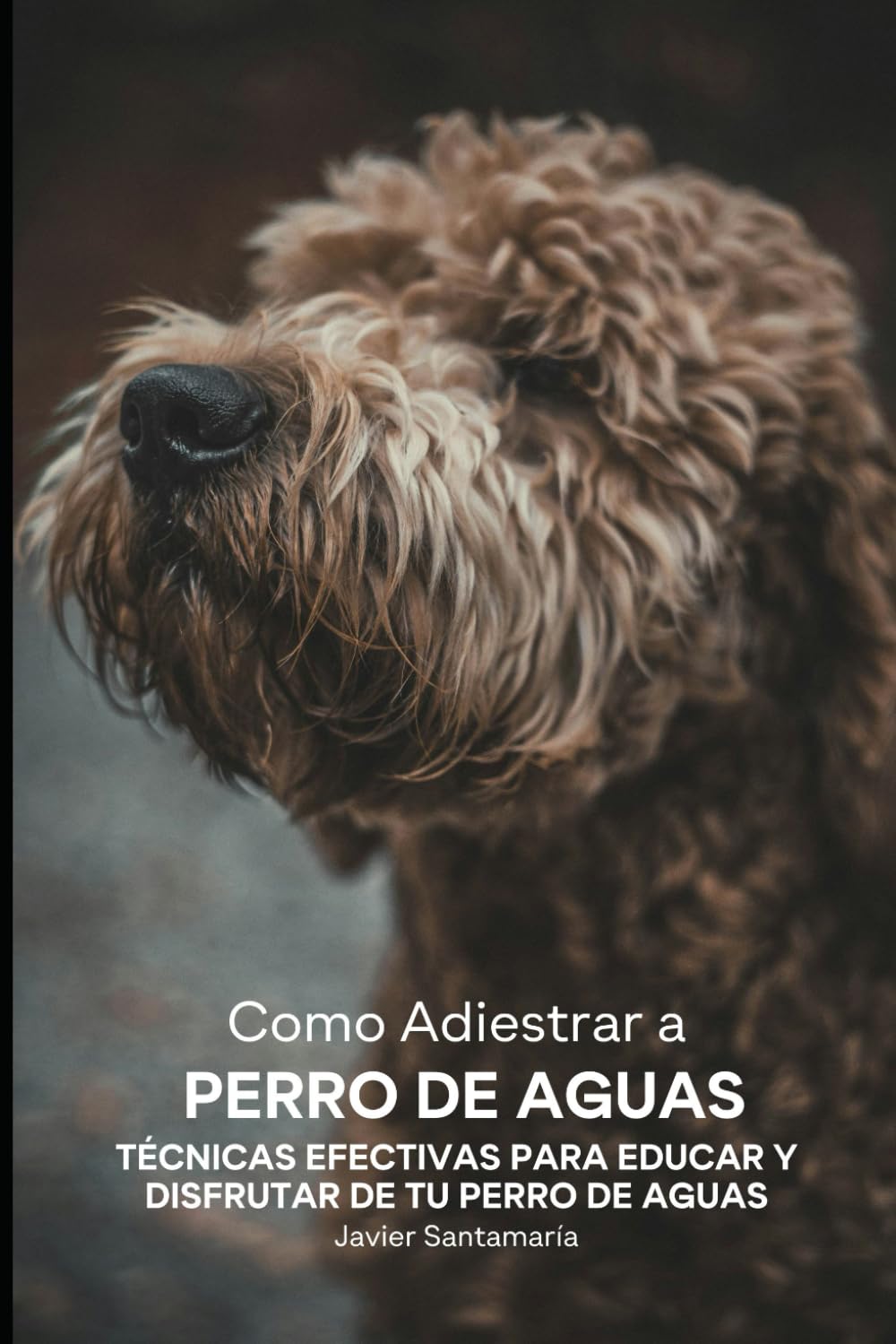 Como Adiestrar a Perro de Aguas: Técnicas Efectivas para Educar y Disfrutar de tu Perro de Aguas