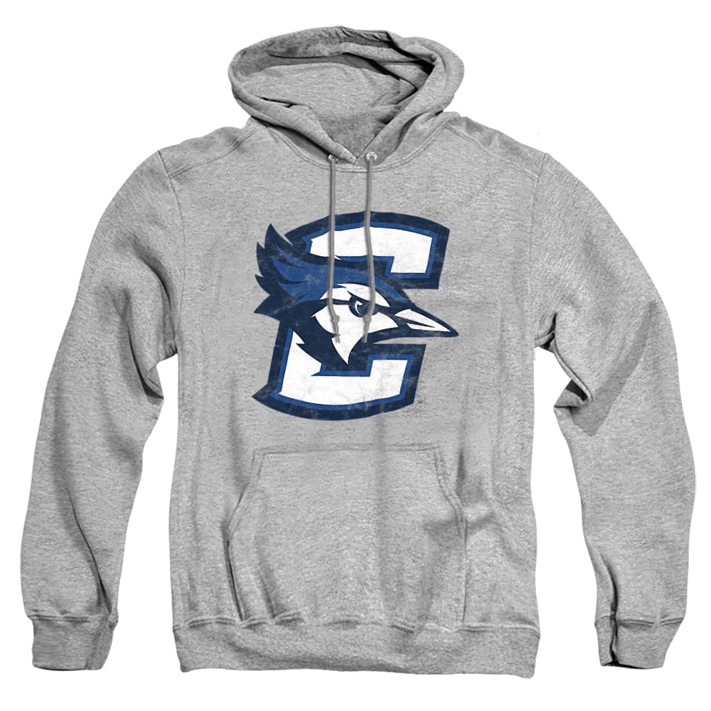 LOGOVISION Official Collegiate Distressed Primary Logo Adult Pullover Hoodie Collection — view 235