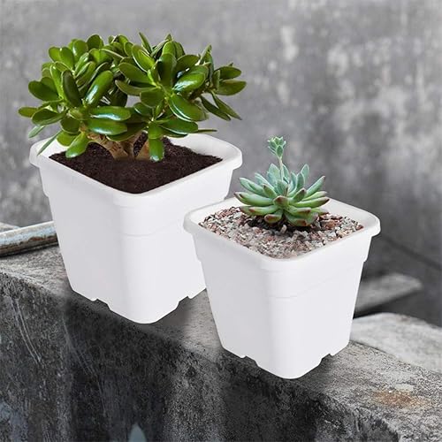 Vista 16 de Macetas cuadradas para vivero, macetas de cultivo, contenedor de vivero, apto para plantar plantas de suelo, 5 galones, 10 unidades Negro
