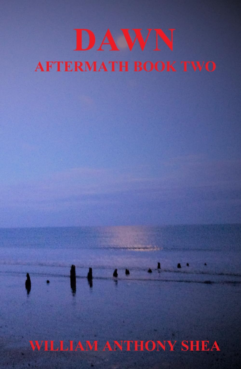 Dawn: Aftermath Book Two