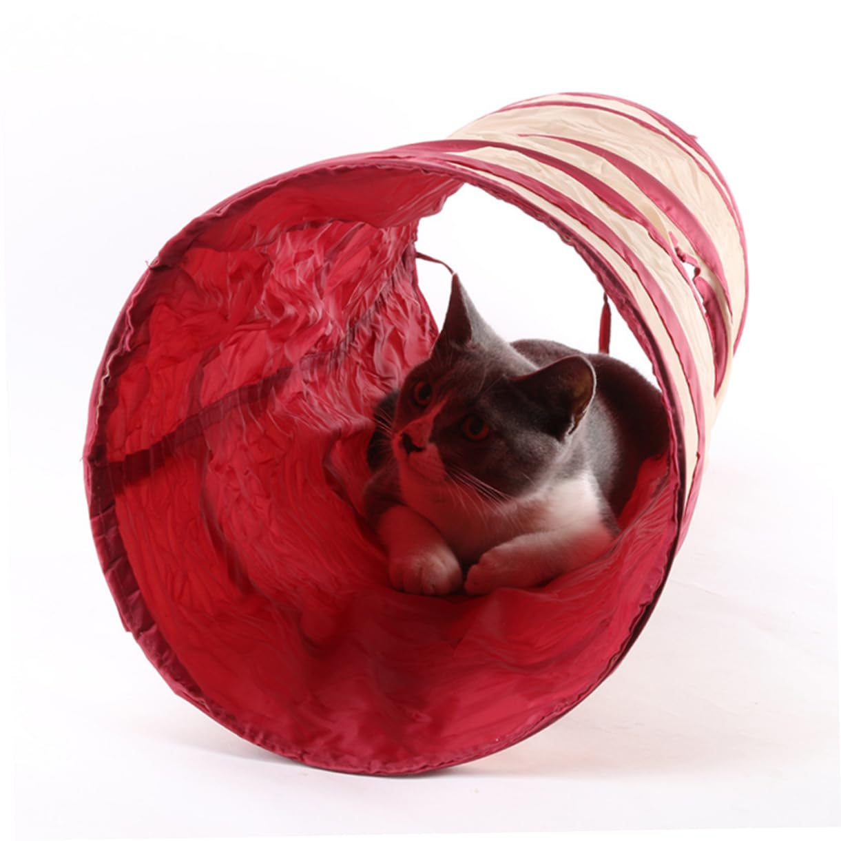 Didiseaon per Gatti Tunnel per Animali Domestici Pieghevole per Riporre Gli Oggetti Ideale per Gatti Conigli Furetti E Cuccioli.