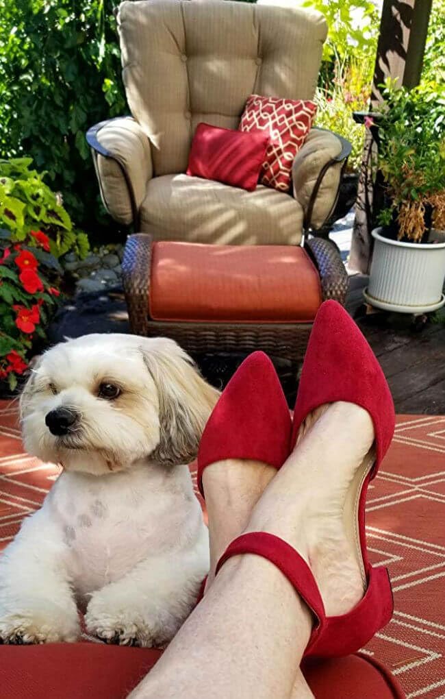 LAICIGO Women's Pointed Toe Pumps Ankle Strap Buckle Chunky Block Heel Dress D'Orsay Shoes - Image 2