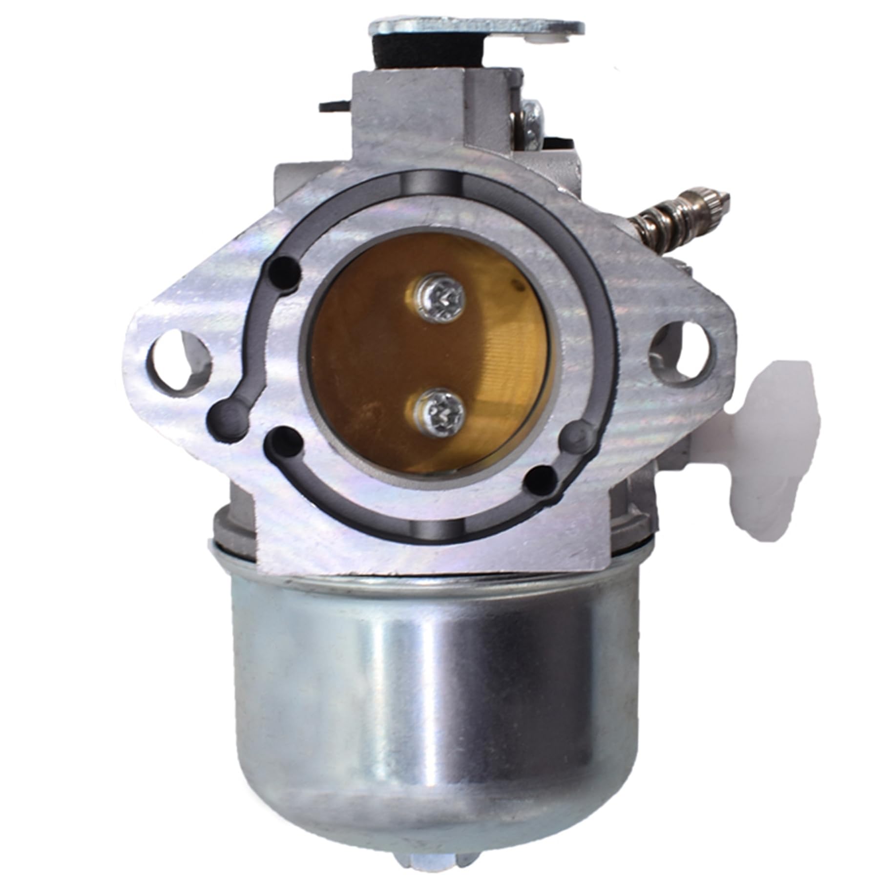 Amazon.com: ALL-CARB 499158 499163 Carburetor Replacement for 