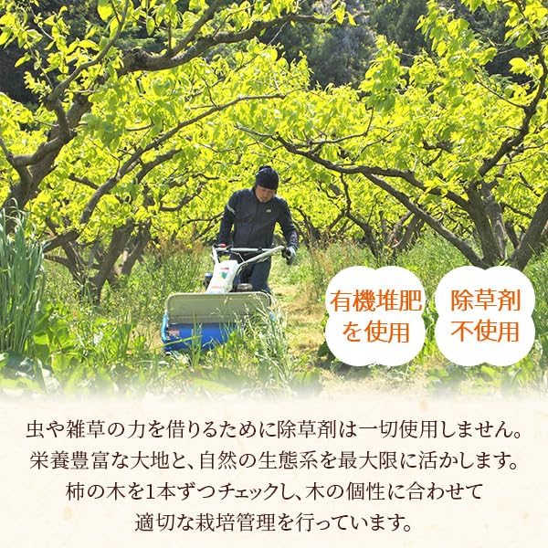 柿農家「柿壺」の西条柿の干し柿8個入（大玉） セミドライ ドライフルーツ 添加物不使用 島根県産 柿 干柿 干し柿 【岩崎】