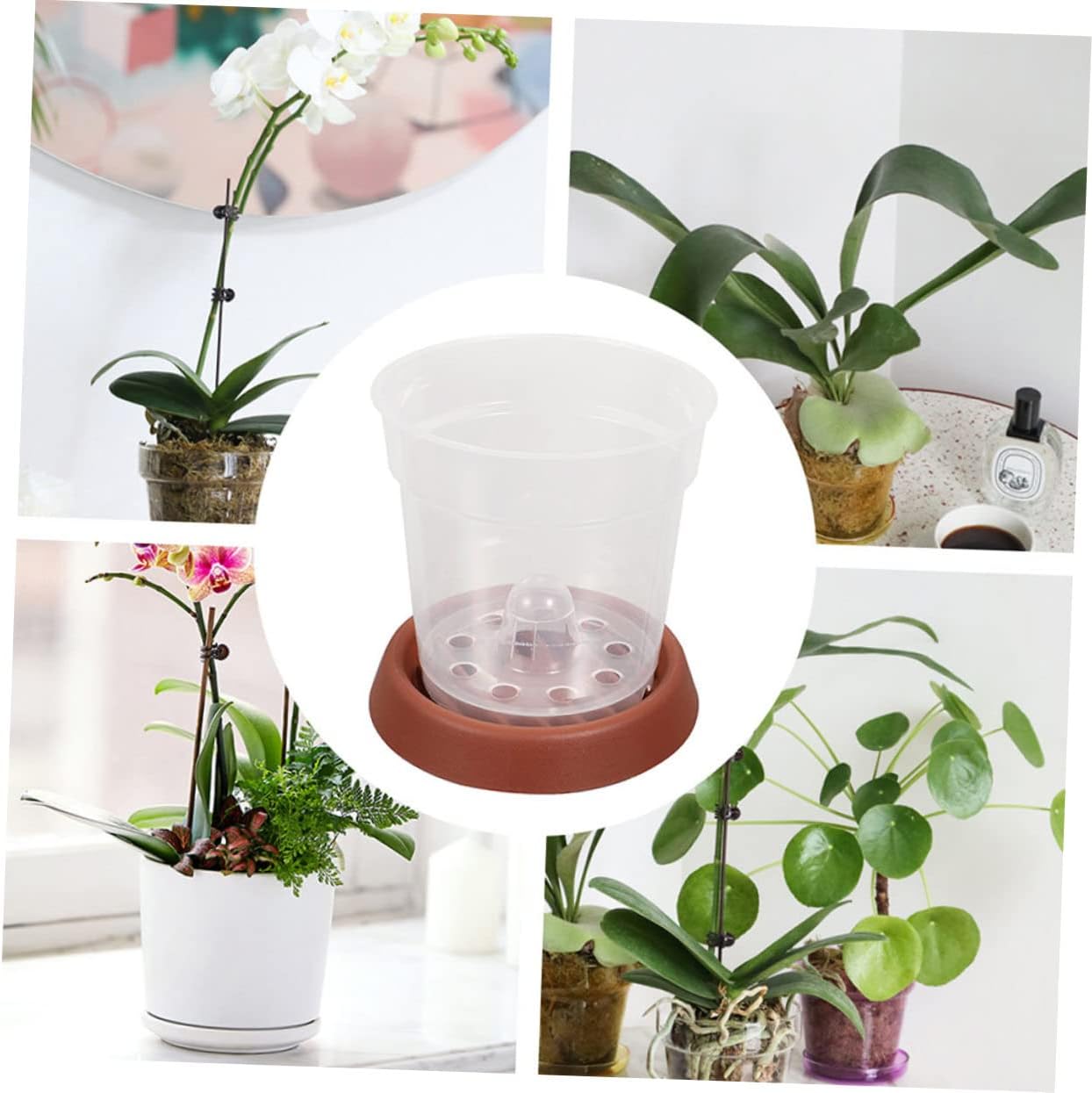 POPETPOP 10pcs Planting Nursery Pots Unique Design for Succulents Plastic and Peat Seedling Pots