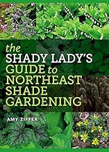 The Shady Lady’s Guide to Northeast Shade Gardening
