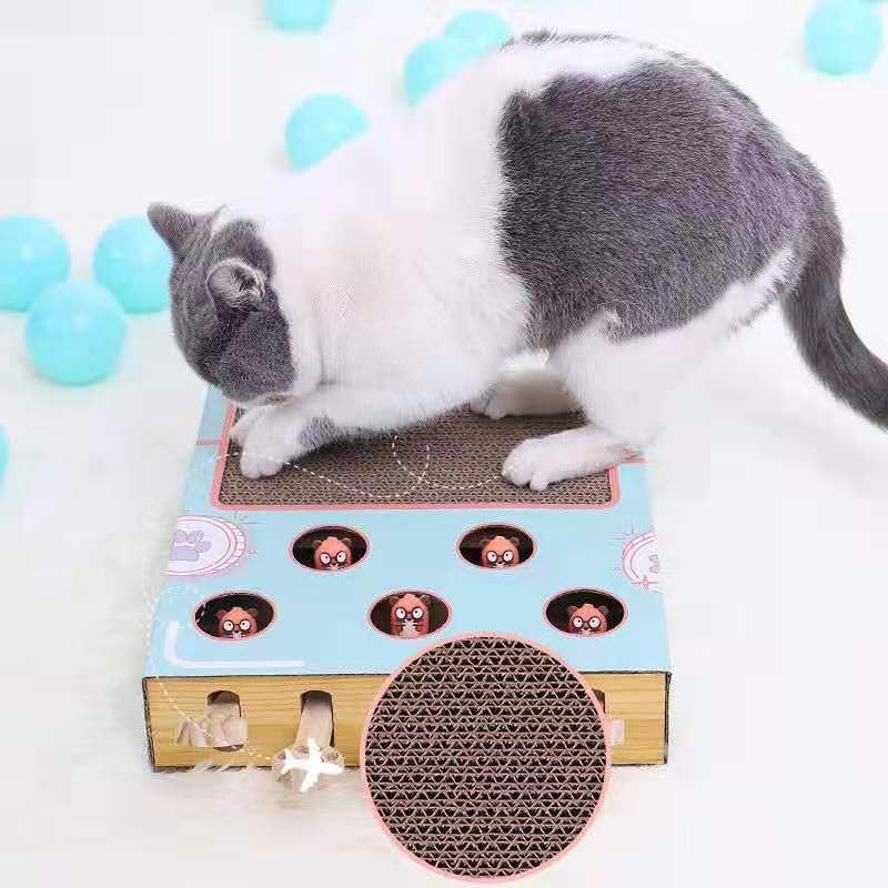 Jouet interactif en bois pour chat avec boîte de puzzle 5 trous