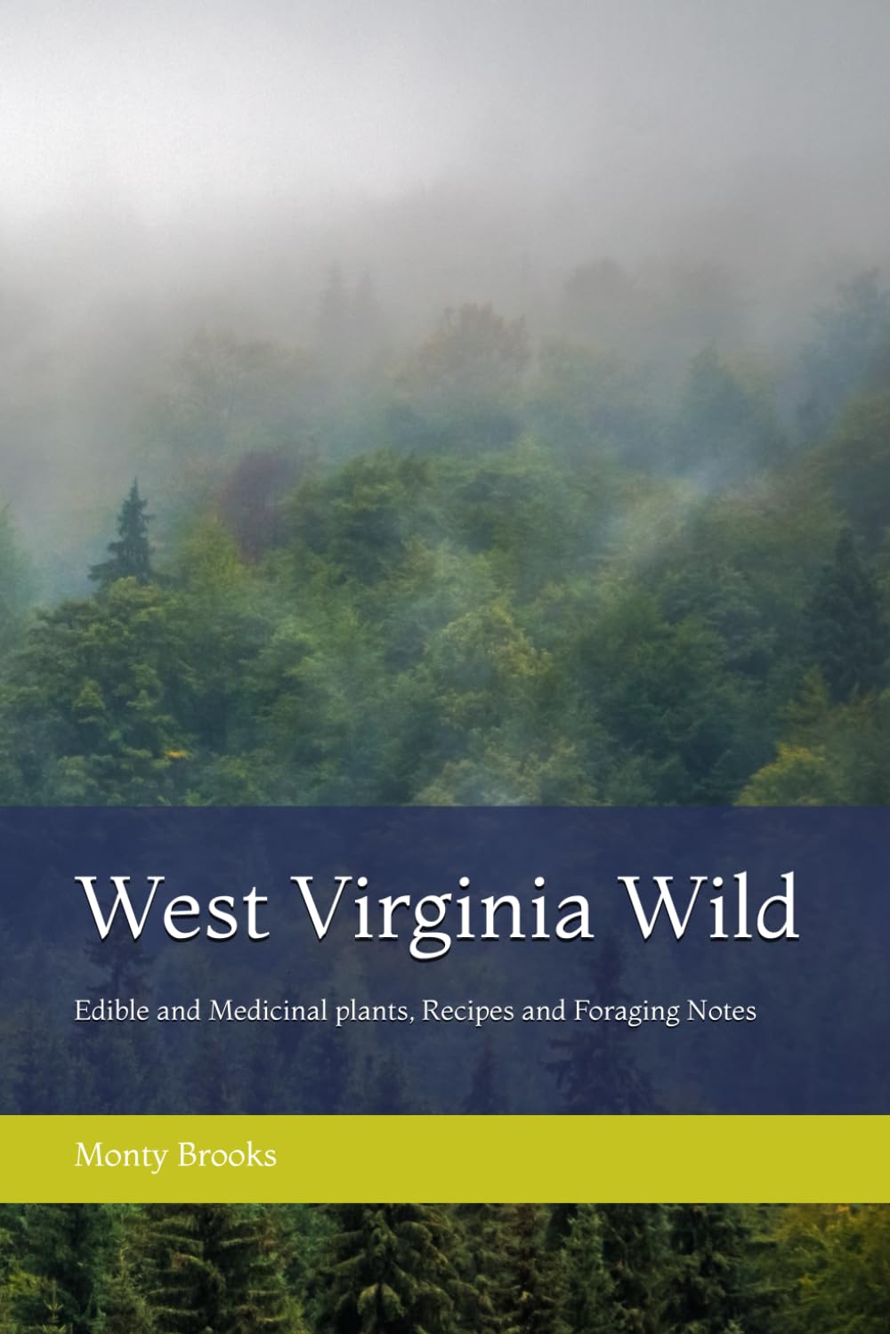 West Virginia Wild: Edible and Medicinal plants, Recipes and Foraging Notes      Paperback – September 22, 2025