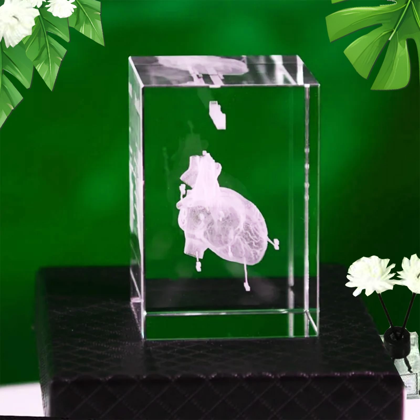 Ensemble de modèles anatomiques en cristal 3D, Représentation 3D de cœur gravée avec précisionpour médecine et design