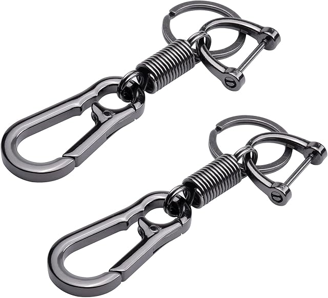 Wisdompro 2 Pack Keychain, Heavy Duty Zinc Alloy Key FOB Keychain Car Key Chain Holder for Men and Women